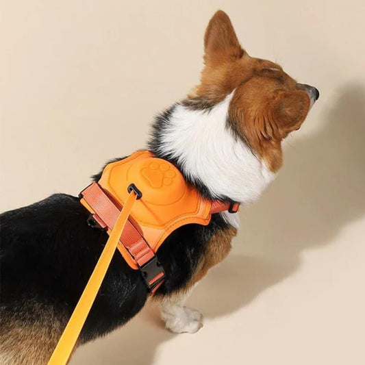 Clip’n’Go™ Built-in Retractable Leash
