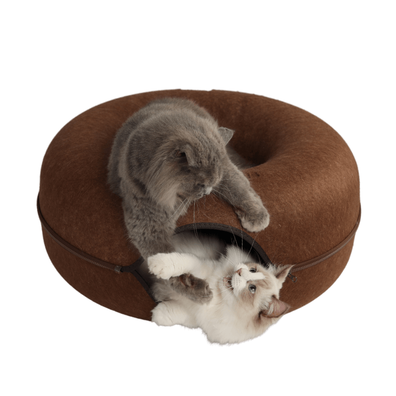 CozyPaws Cat Cave – Dual Bed & Tunnel Hideout for Play and Rest