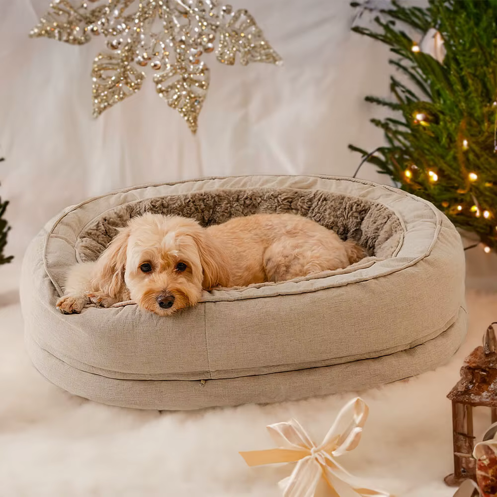 Calming Donut Bed – Comfort That Wraps Around