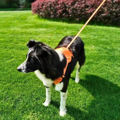 Clip’n’Go™ Built-in Retractable Leash